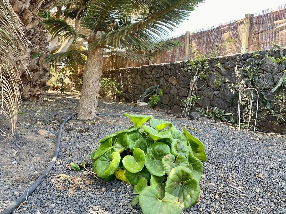Cabanalanz, Cabanas En Lanzarote San Bartolomé Camping